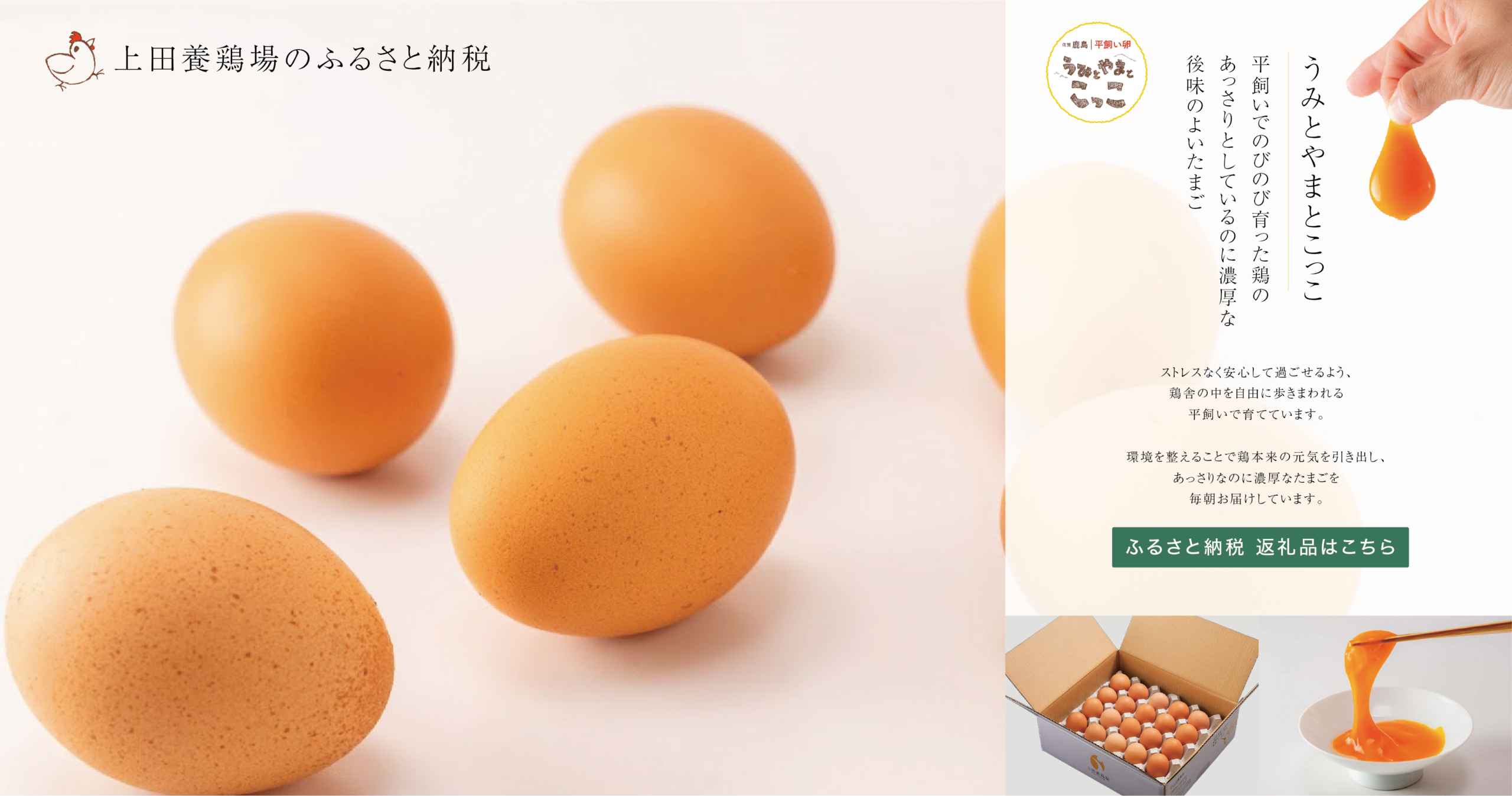 上田養鶏場-ふるさと納税-バナー-scaled.png